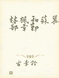 林枫和苏慕白全部章节