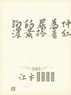 狗的尿为什么是浓黄掺着红色