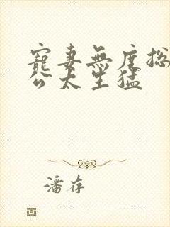 宠妻无度总裁老公太生猛