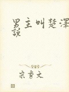 男主叫楚泽的小说封面