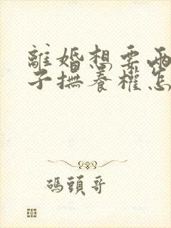 离婚想要两个孩子抚养权怎么办