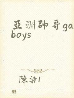 亚洲帅哥gayboys封面