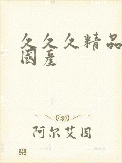 久久久精品日韩国产