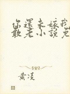 你还未嫁我怎么敢老小说免费阅读