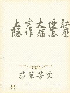 上完大便肚子隐隐作痛怎么回事封面