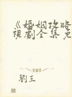 《婚姻攻略》电视剧全集免费观看