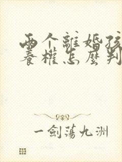 两个离婚孩子抚养权怎么判决封面