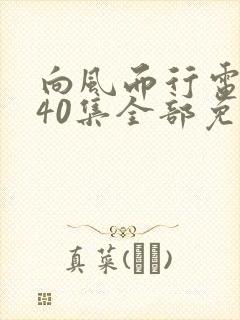 向风而行电视剧40集全部免费观看高清封面