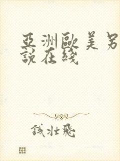 亚洲欧美另类小说在线