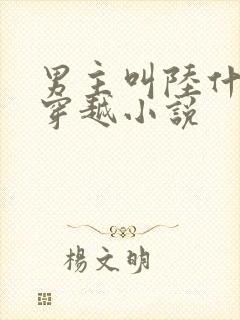 男主叫陆什么的穿越小说