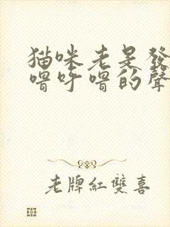 猫咪老是发出呼噜呼噜的声音是怎么回事封面