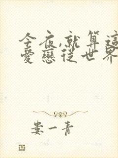 今夜,就算这份爱恋从世界上消失小说