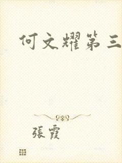 何文耀第三部
