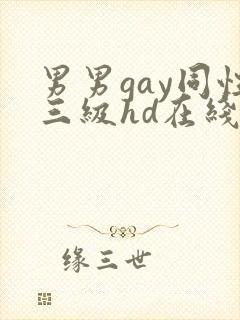 男男gay同性三级hd在线