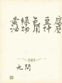 黄绿色豆腐渣分泌物用什么药好封面