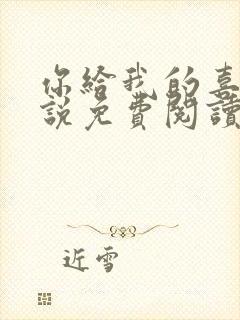 你给我的喜欢小说免费阅读封面