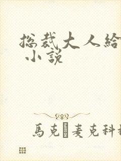 总裁大人给力宠 小说