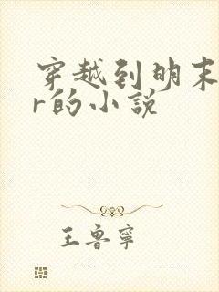 穿越到明末朱慈r的小说