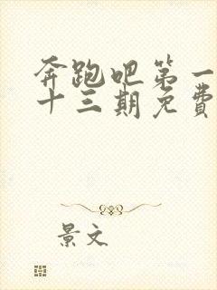 奔跑吧第一季第十三期免费观看