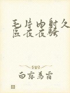 毛片内射久久一区夜夜骚