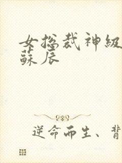 女总裁神级保镖苏辰