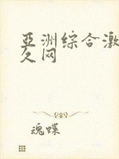 亚洲综合激情久久网