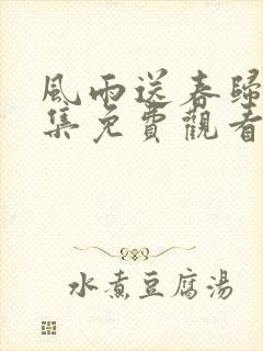 风雨送春归40集免费观看电视剧