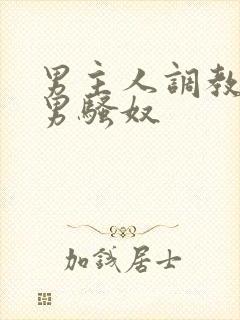 男主人调教中国男骚奴