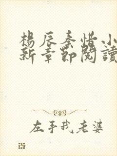 杨辰秦惜小说最新章节阅读