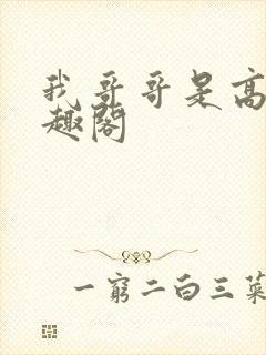 我哥哥是高欢笔趣阁封面