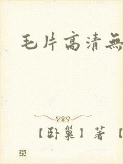 毛片高清无遮挡