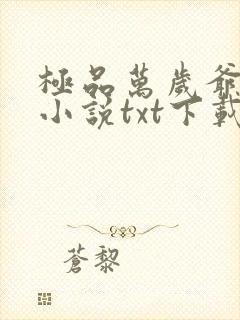 极品万岁爷妖刀小说txt下载