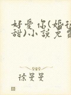 好爱你(婚后高甜)小说免费阅读