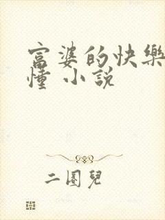 富婆的快乐你不懂 小说封面