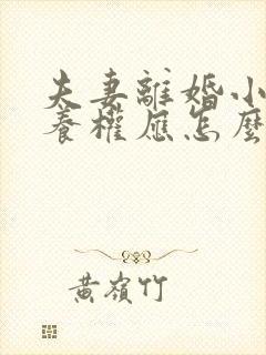 夫妻离婚小孩抚养权应怎么判