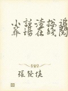 小说渣总追妻火葬场在线阅读