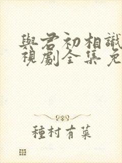 与君初相识 电视剧全集免费观看