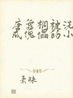 唐舞桐被洗脑变成傀儡的小说封面