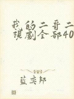 我的二哥二嫂电视剧全部40集