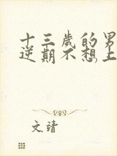 十三岁的男孩叛逆期不想上学了封面