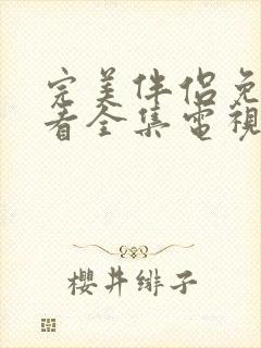 完美伴侣免费观看全集电视剧封面