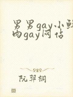 男男gay小鲜肉gay网站封面