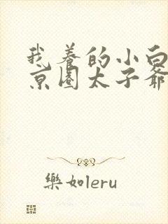 我养的小白脸是京圈太子爷完整版