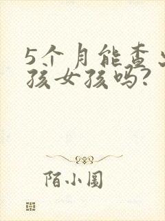 5个月能查出男孩女孩吗?