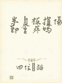 半月板损伤膝关节会疼吗