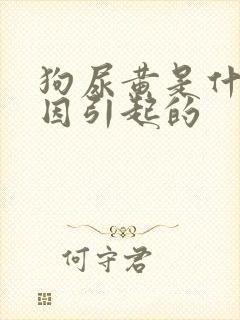 狗尿黄是什么原因引起的