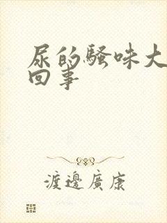 尿的骚味大怎么回事