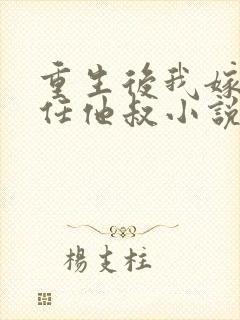 重生后我嫁给前任他叔小说