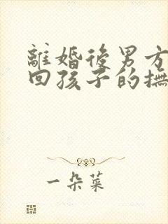 离婚后男方想要回孩子的抚养权怎么办