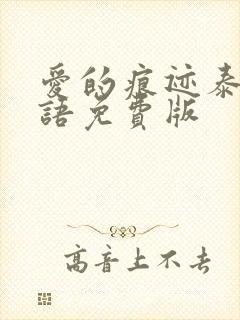 爱的痕迹泰剧国语免费版